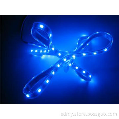 IP67 Sillicone Protection Led String Lights DC12V 60LEDs SMD5050